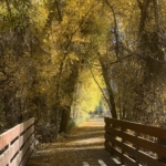 Fall colors in Park City, Utah during October