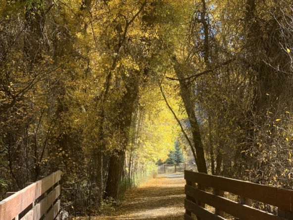 Fall colors in Park City, Utah during October